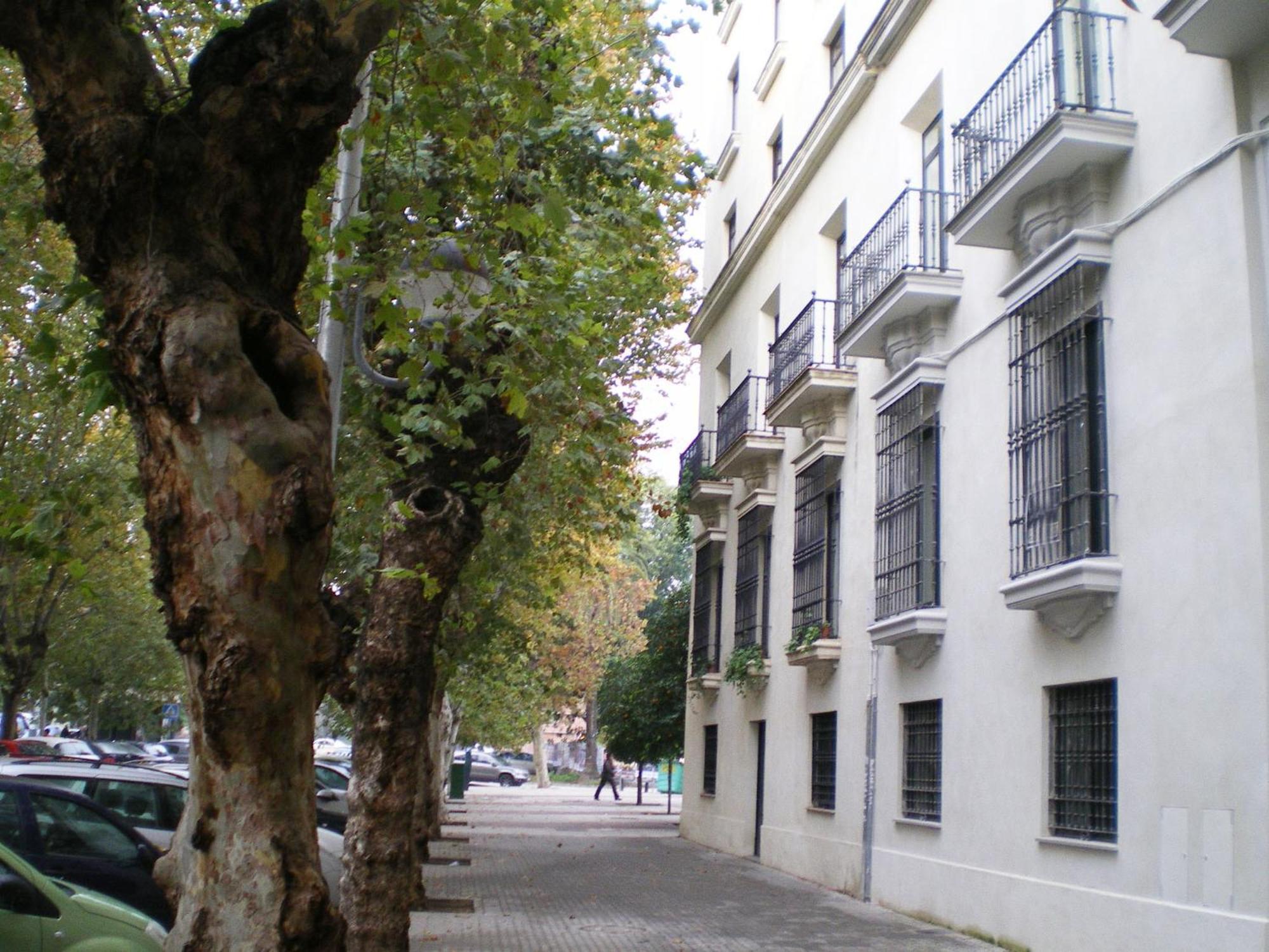 Apartamentos Murallas De Sevilla Ngoại thất bức ảnh